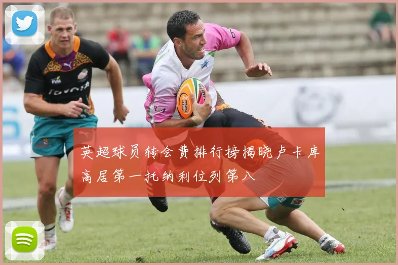 英超球员转会费排行榜揭晓卢卡库高居第一托纳利位列第八