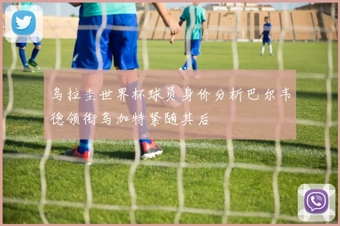 乌拉圭世界杯球员身价分析巴尔韦德领衔乌加特紧随其后
